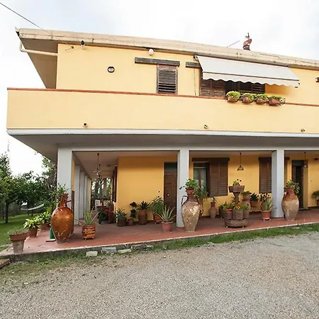 Gasthof Ai Vecchi Pini